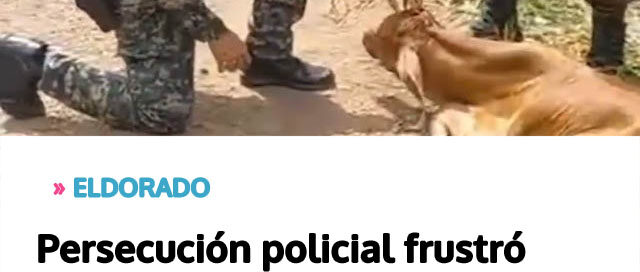 Persecución policial frustró el robo de un ternero en zona rural