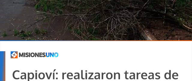 Capioví: realizaron tareas de despeje y limpieza tras la tormenta