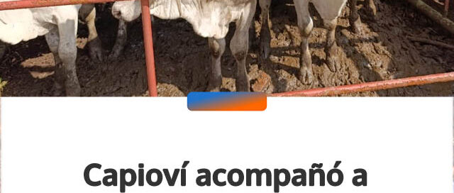 Capioví acompañó a productores en un remate ganadero y fortaleció vínculos con el sector productivo