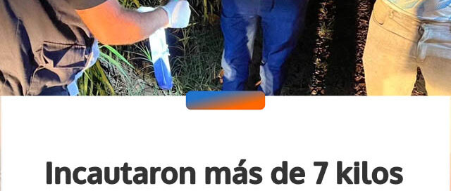 Incautaron más de 7 kilos de marihuana valuados en  millones tras una persecución en Capioví